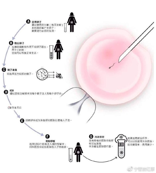 淄博捐卵机构公司